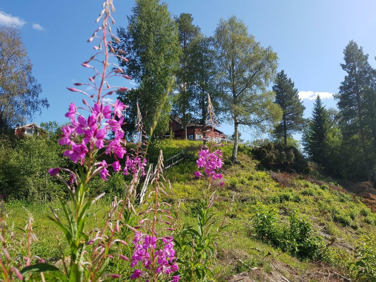Bjoernforsens Turist & Konferenshotell, Naera Husum, Oernskoeldsvik Bjorna Kültér fotó