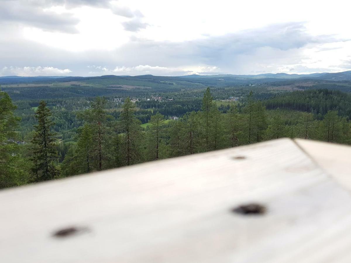 Bjoernforsens Turist & Konferenshotell, Naera Husum, Oernskoeldsvik Bjorna Kültér fotó